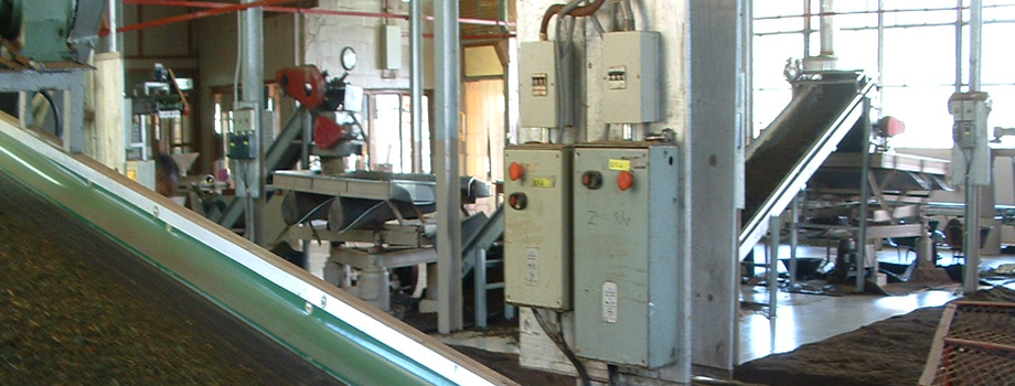 conveyor belt 2